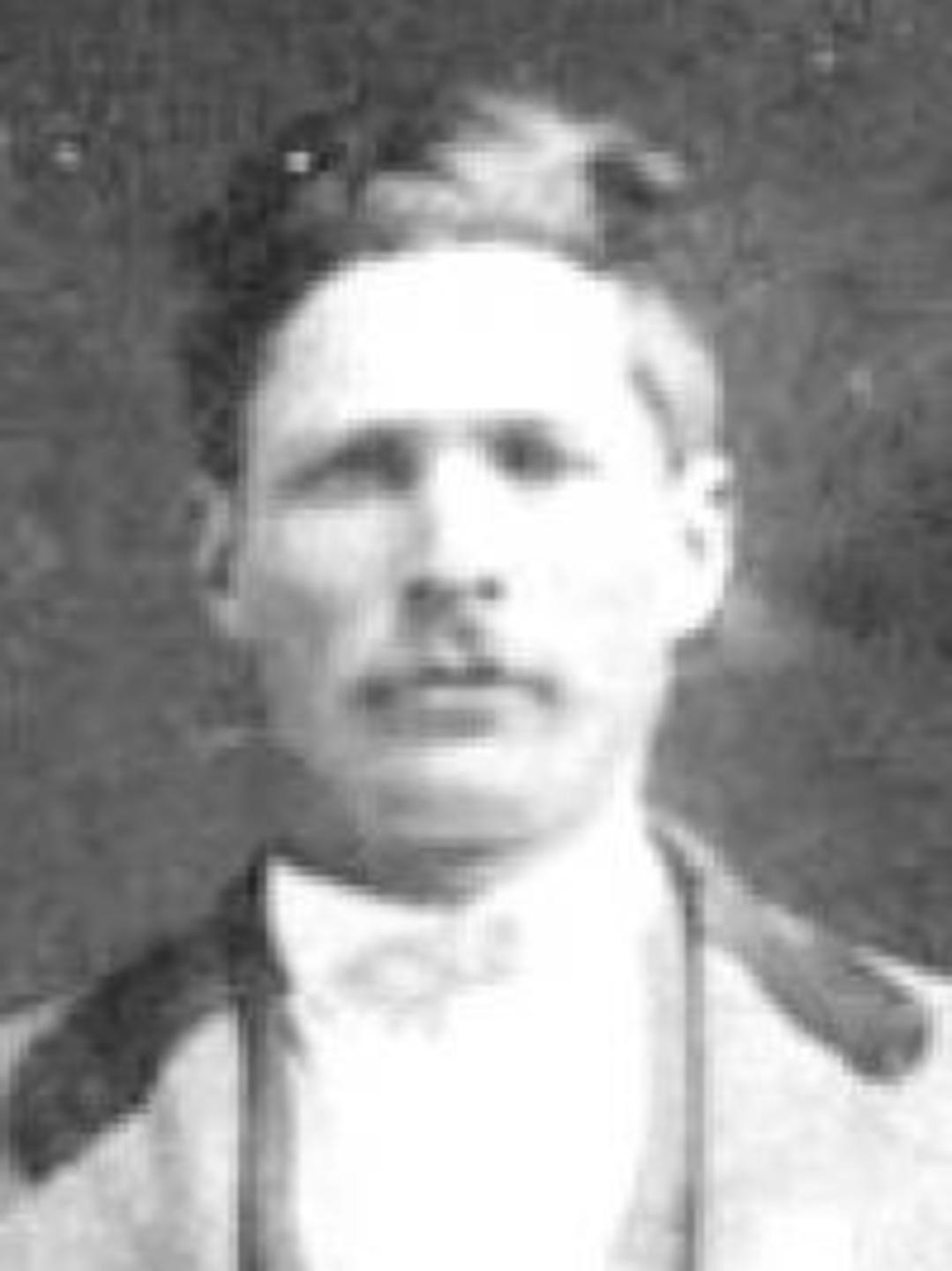 Amos Orin McBride (1850 - 1924) Profile